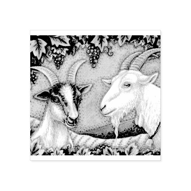 Sello De Caucho NAPA VALLEY KID & BILLY GOAT RUBBER STAMP *Persona (Impresión)