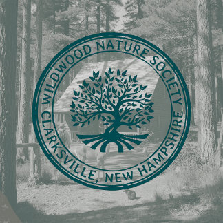 Sello De Caucho Oak Tree Rústica Dirección Naturaleza y Negocio