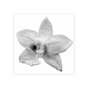 Sello De Caucho Orquídea Silvestre Morada Flor Tropical