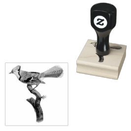 Sello De Caucho Pájaro de BlueJay en un Ilustracion de bifurcación