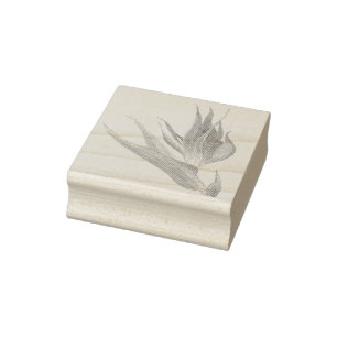 Sello De Caucho Pájaro Tropical Del Paraíso Acuarela