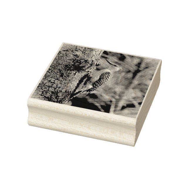 Sello De Caucho Pancopa leñosa (Sello)