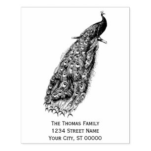 Sello De Caucho Pavo Real en una Rama Dirección de Retorno