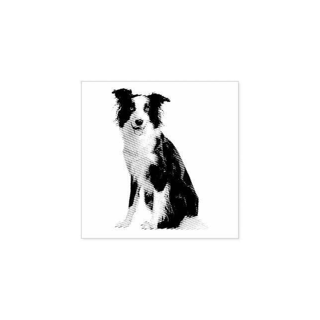 Sello De Caucho Perro Cachorro Border Collie (Impresión)
