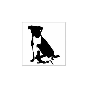 Sello De Caucho Perro Gato Pájaro Conejo Mascota Veterinario