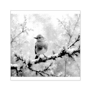 Sello De Caucho Petirrojo en un árbol nevado