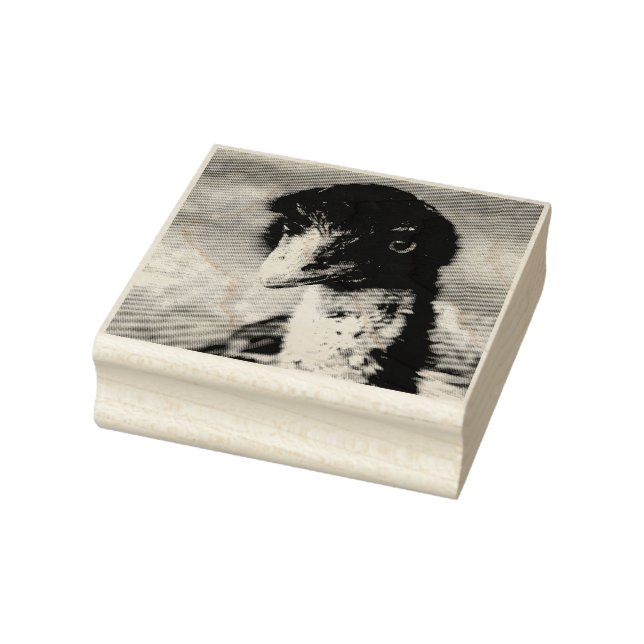 Sello De Caucho Piercing Eyes of the Outback (Sello)