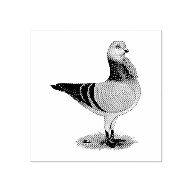 Sello De Caucho Pigeon Grizzle de lechón italiana (Impresión)