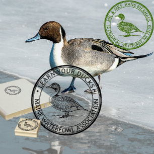 Sello De Caucho Pintail Duck Waterfowl Nature o Return Address