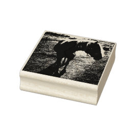 Sello De Caucho Pony Silhouetted Rubber Stamp