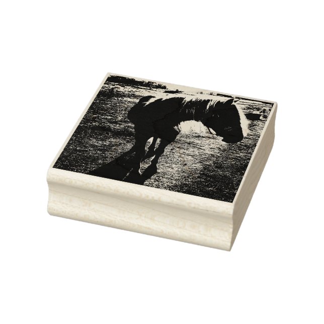 Sello De Caucho Pony Silhouetted Rubber Stamp (Sello)