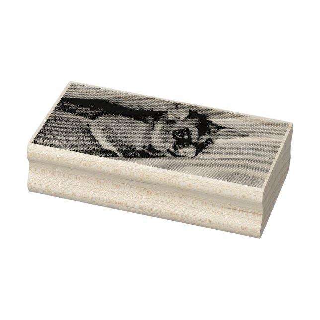 SELLO DE CAUCHO POSSUM QUEENSLAND AUSTRALIA (Sello)