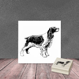 Sello De Caucho Raza de perro española Springer inglesa