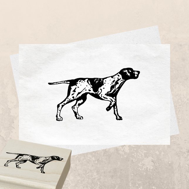 Sello De Caucho Raza de perro puntero al descubierto de Alemania (Subido por el creador)