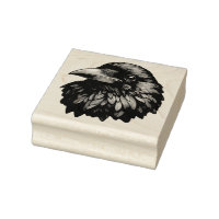 Retrato majestuoso de Raven - cuervo, ave, fauna