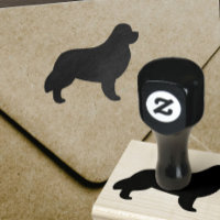 Sehuette Newf de raza de perro de Terranova