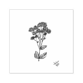 Sello De Caucho Sello, arte botánico, planta de sedición
