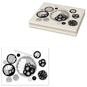 Sello De Caucho Shabu-Shabu Japón Cocina japonesa caliente