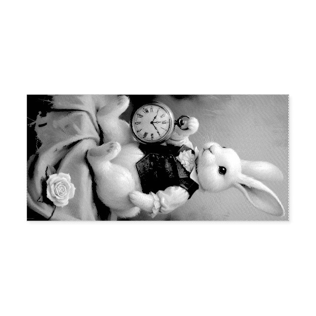 Sello De Caucho Storybook Bunny (Impresión)