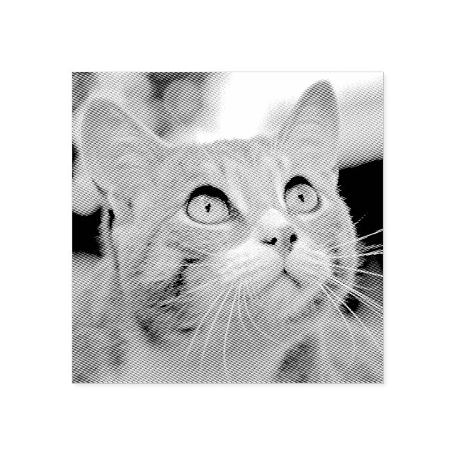 Sello De Caucho Su Mascota Etching | Captado De Foto | PERSONALIZA (Impresión)