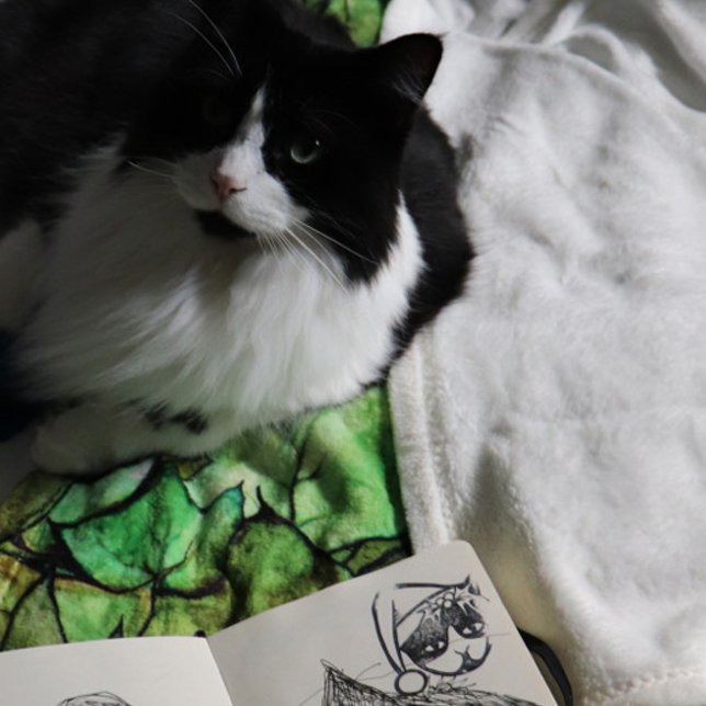 Sello De Caucho Tuxedo Cat Merry Christmas (Subido por el creador)