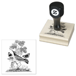 Sello De Caucho Warbler Aves Huevos Cocoon Vintage Scrapbooking