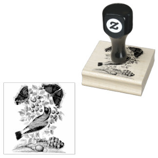 Sello De Caucho Wheatear Bilberry Camberwell Birds Scrapbooking