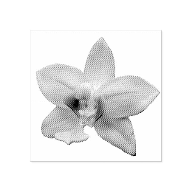 Sello De Caucho Wild Orchid Purple Tropical Flower (Impresión)