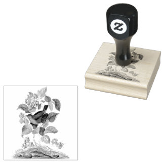 Sello De Caucho Wren Raspberry Vintage Scrapbooking