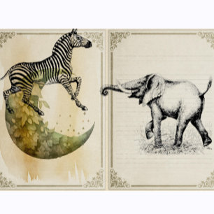 Sello De Caucho Zebra Vintage Safari Animal