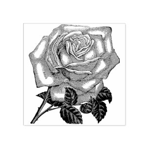 Sello de goma de flor de Rosa