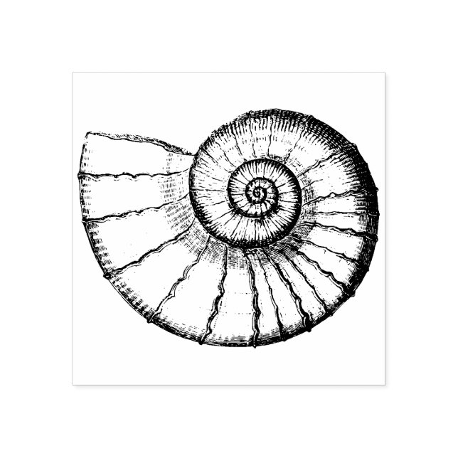 Sello de goma de la concha del mar (Impresión)