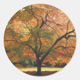 Sello de invitación a boda otoño de Boda otoño