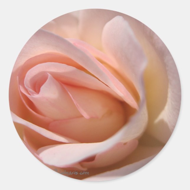 Sello de invitación a la boda rosa (Anverso)