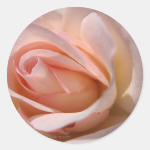Sello de invitación a la boda rosa