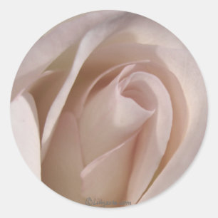 Sello de invitación a la boda rosa pálido