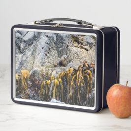 Sello De Piel Joven En La Roca