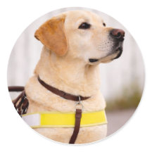 Sello de Sobre de Graduación de Perro Guía Labrado