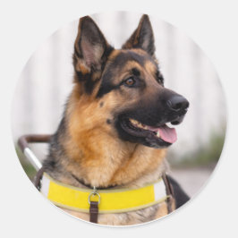 Sello de Sobres de Graduación de Perro Guía Pastor