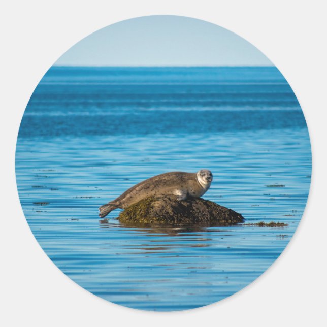 Sello del puerto atlántico (Anverso)