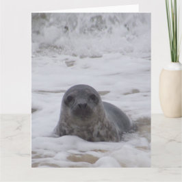 Sello - Foto de animales Imprimir tarjeta de felic