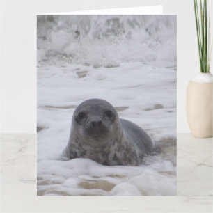 Sello - Foto de animales Imprimir tarjeta de felic