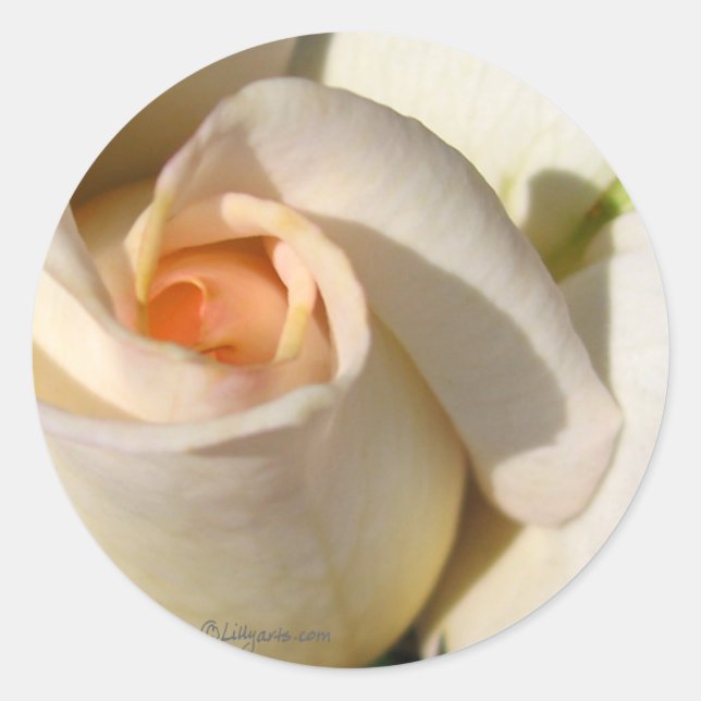 Sello para sobres Boda de brote de Rosa (Anverso)