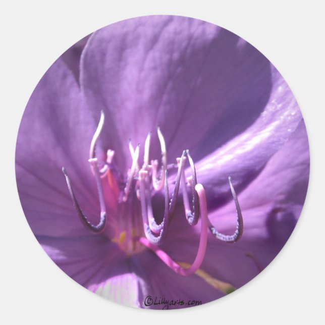 Sello para sobres Boda de flores violeta (Anverso)