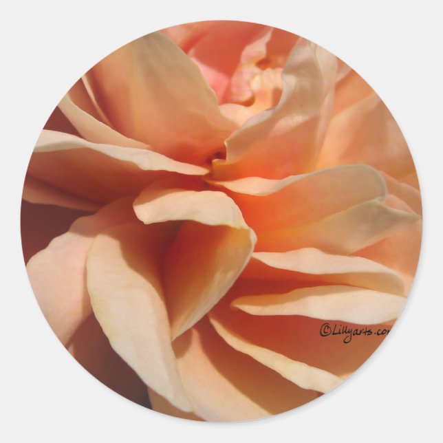 Sello para sobres Boda Rosa de Coral (Anverso)