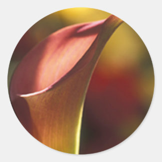 Sello para sobres Calla Lily