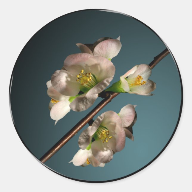 Sello para sobres de brote de árbol (Anverso)