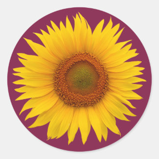 Sello para sobres de flor de girasol amarillo de B