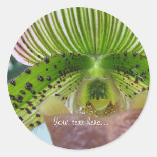 Sello para sobres de orquídea de deslizador verde 