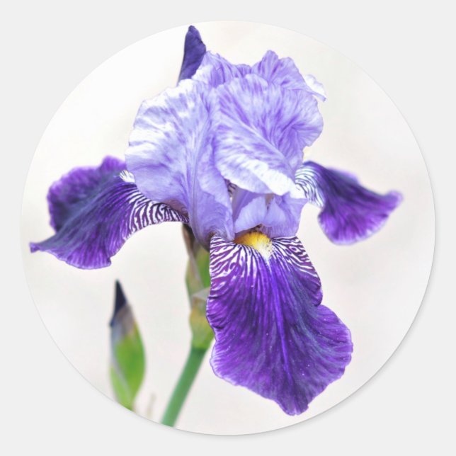 Sello para sobres Iris de verano (Anverso)